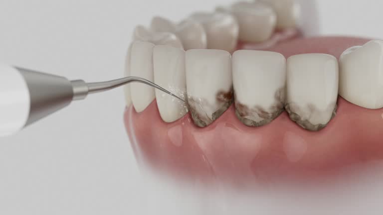 Reliable Dental contractor in Lecanto, FL by Dentist Open Now